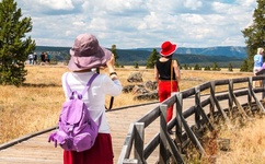 饭没了秀 至上励合